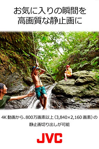 JVC KENWOOD Video Camera Everio 4K Deep Ocean Blue GZ-RY980-A | eBay